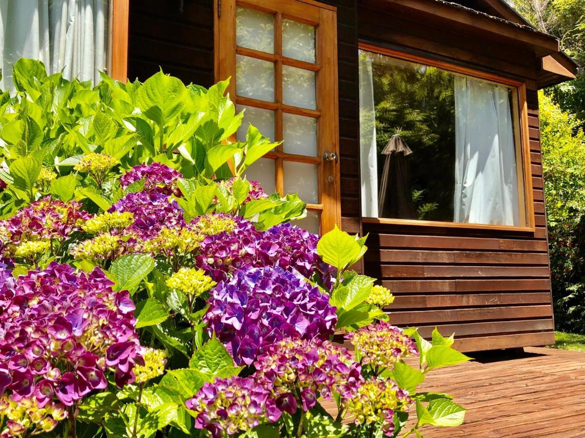 Cabanas Monte Verde Pucón Екстериор снимка